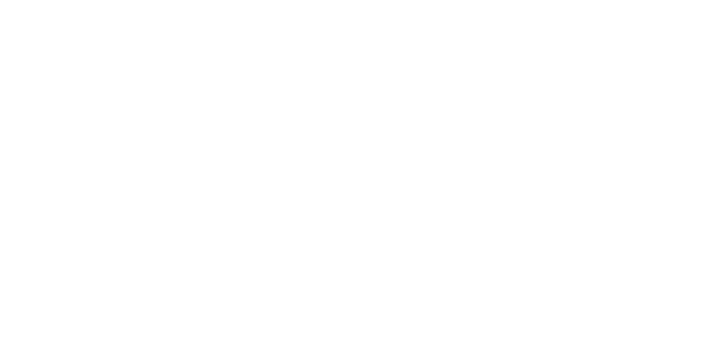 nyf logo